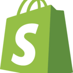 Best Professional Shopify Web Designers in Delhi